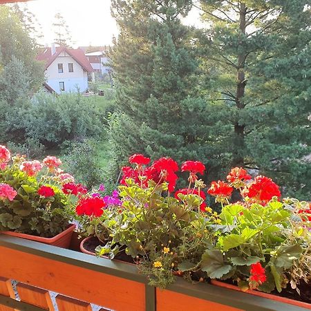 Chalet Chata Tereza By Interhome Стара-Лесна Экстерьер фото